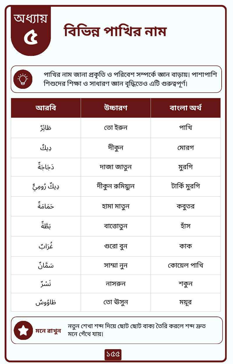arabic-vocabualry